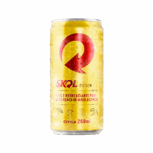 skol 269ml
